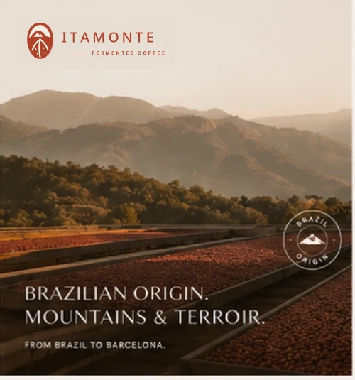 Brazilian coffee terraces in the mountains